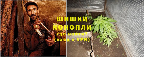прущая мука Арсеньев