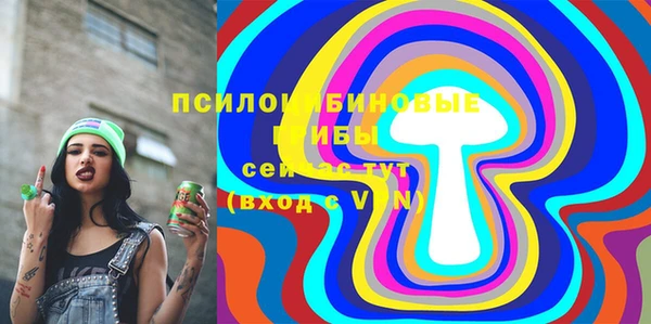 прущая мука Арсеньев