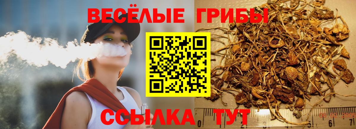 Кирово-Чепецк  Псилоцибиновые грибы MAGIC MUSHROOMS  Вход с VPN 